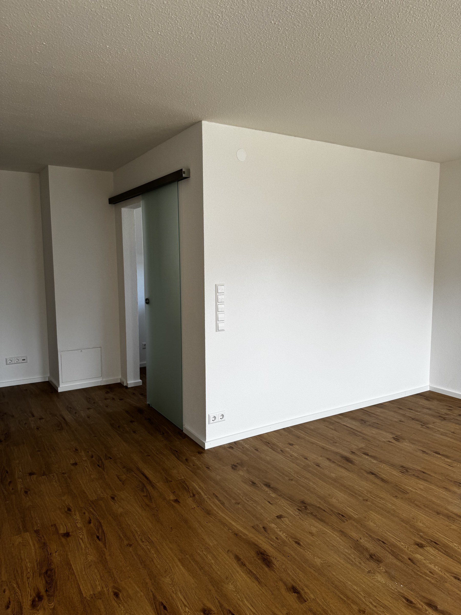 Glas-Schiebetür satiniert als Raumtrenner